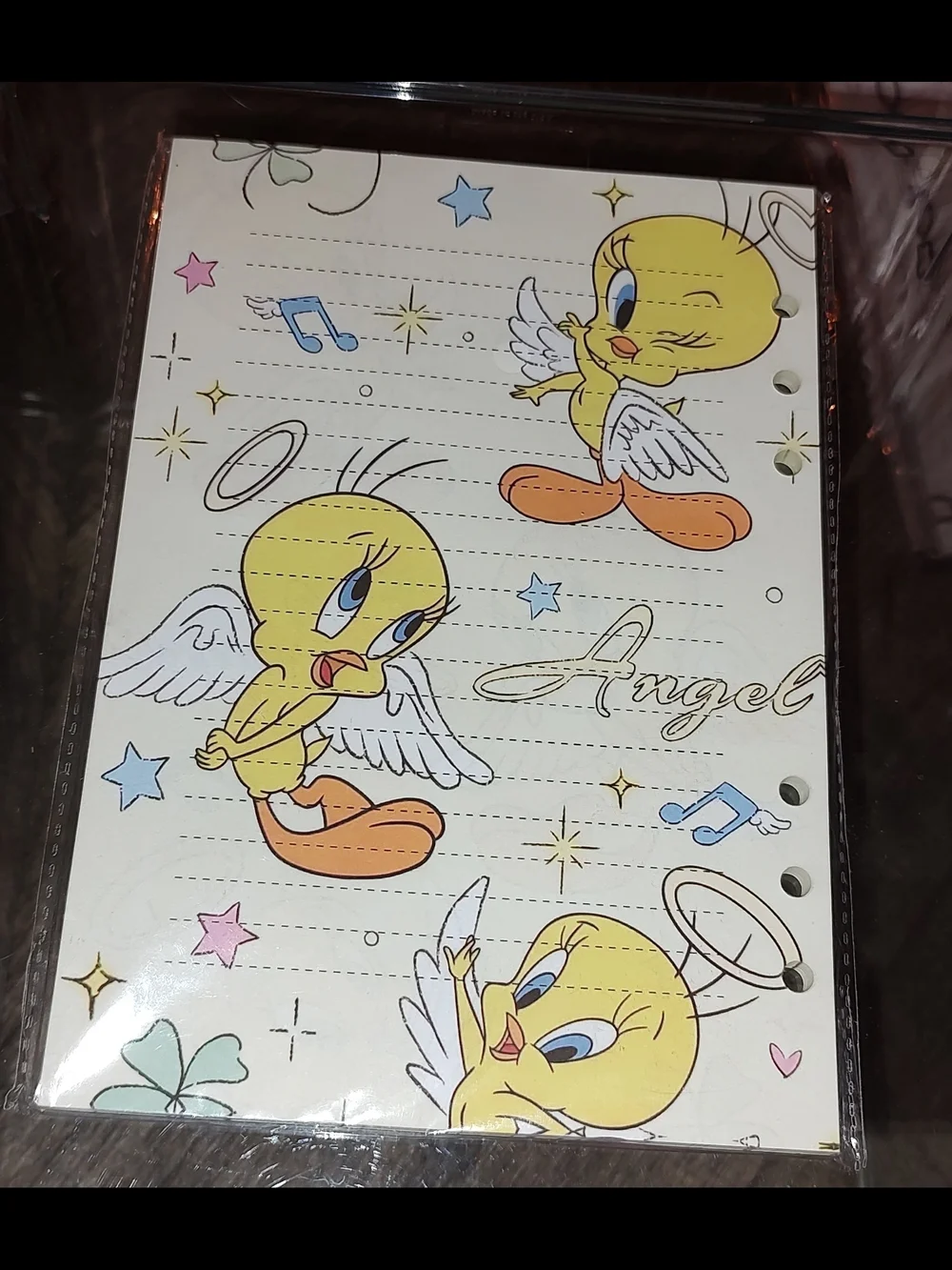 New! A5 Size Tweety Bird Refill Paper